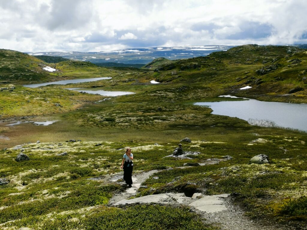 Vøringsfossen: ein Highlight der Hardangervidda 30 Hardangervidda Norwegen