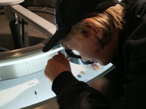 Zürich Naturhistorisches Museum