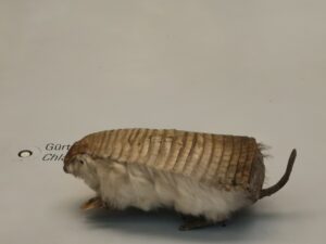 Zürich mit Kindern: Geht das auch günstig? 4