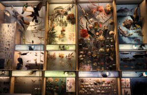 Wellington mit Kindern Te Papa Museum