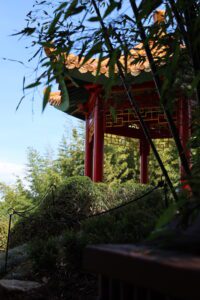 Tagesausflug ab Auckland Hamilton Gardens