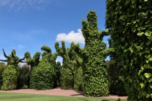 Tagesausflug ab Auckland Hamilton Gardens