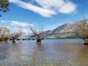 IMG_20240301_133530 Neuseeland-Roadtrip ins Paradies ♥ von Queenstown nach Glenorchy 6