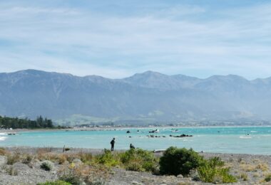 Kaikoura Gooches Bay