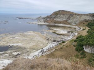 Kaikoura Peninsula Walkway