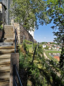 Meißen mit Kindern Albrechtsburg