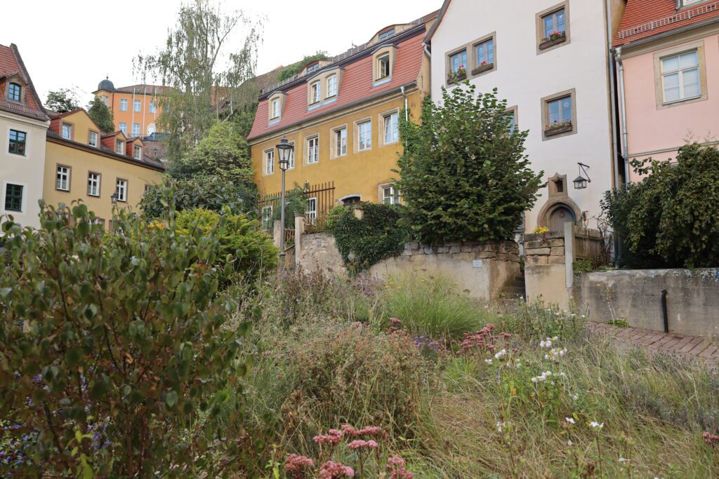 Meißen mit Kindern: Altstadt-Bummel und Porzellan 26 Meißen mit Kindern Altstadt