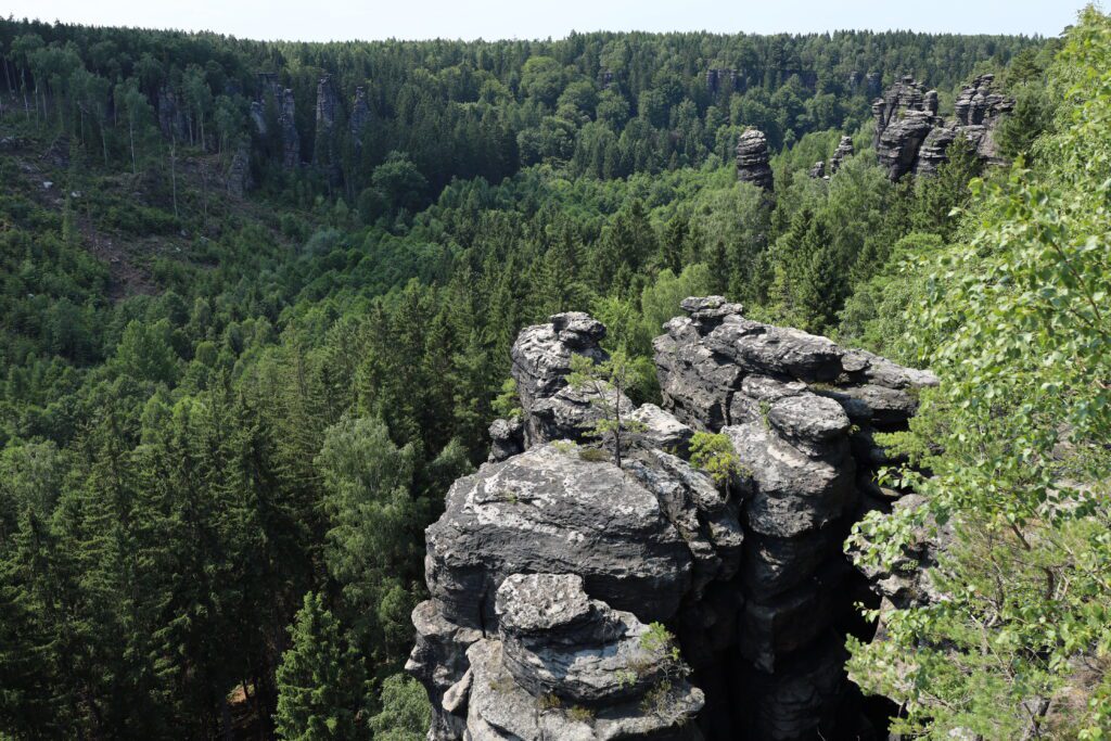 Vergesst die Bastei: diese 8 Naturwunder der Sächsischen Schweiz müsst ihr besuchen 35 Bielatal Herkulessäulen Sächsische Schweiz
