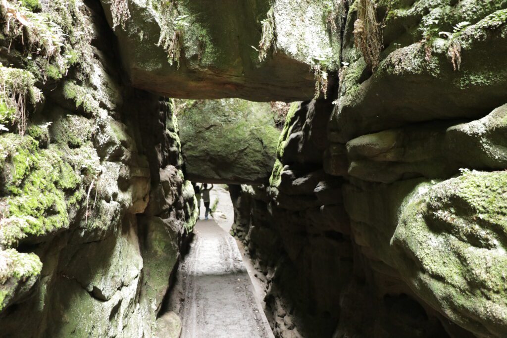Vergesst die Bastei: diese 8 Naturwunder der Sächsischen Schweiz müsst ihr besuchen 25 Uttewalder Grund Wehlen