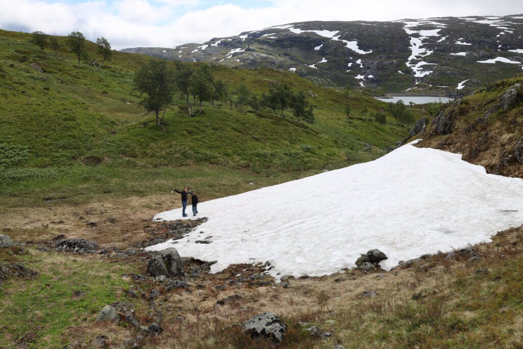 Südnorwegen mit Kindern: große Hardangervidda-Liebe 38 Hardangervidda mit Kindern Haukelivegen