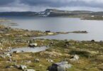 Hardangervidda mit Kindern