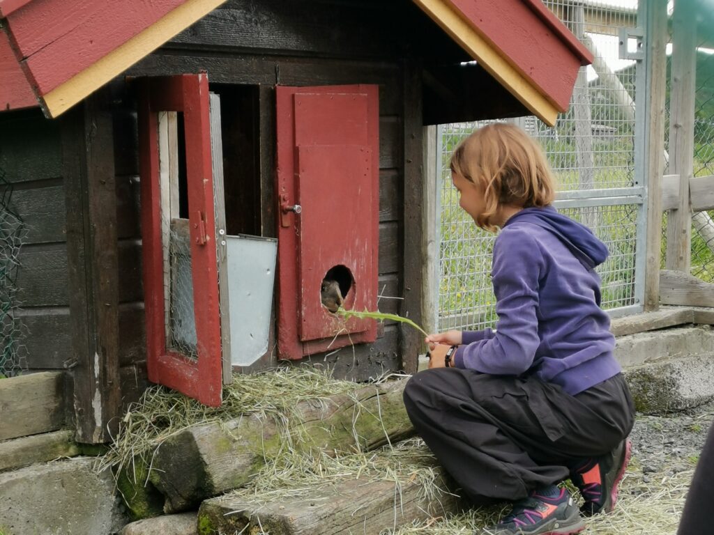 Südnorwegen mit Kindern: große Hardangervidda-Liebe 47 Hardangervidda mit Kindern Vierli Alm