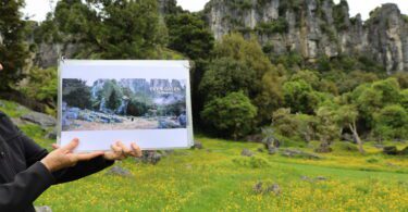 King Country Piopio Hobbit