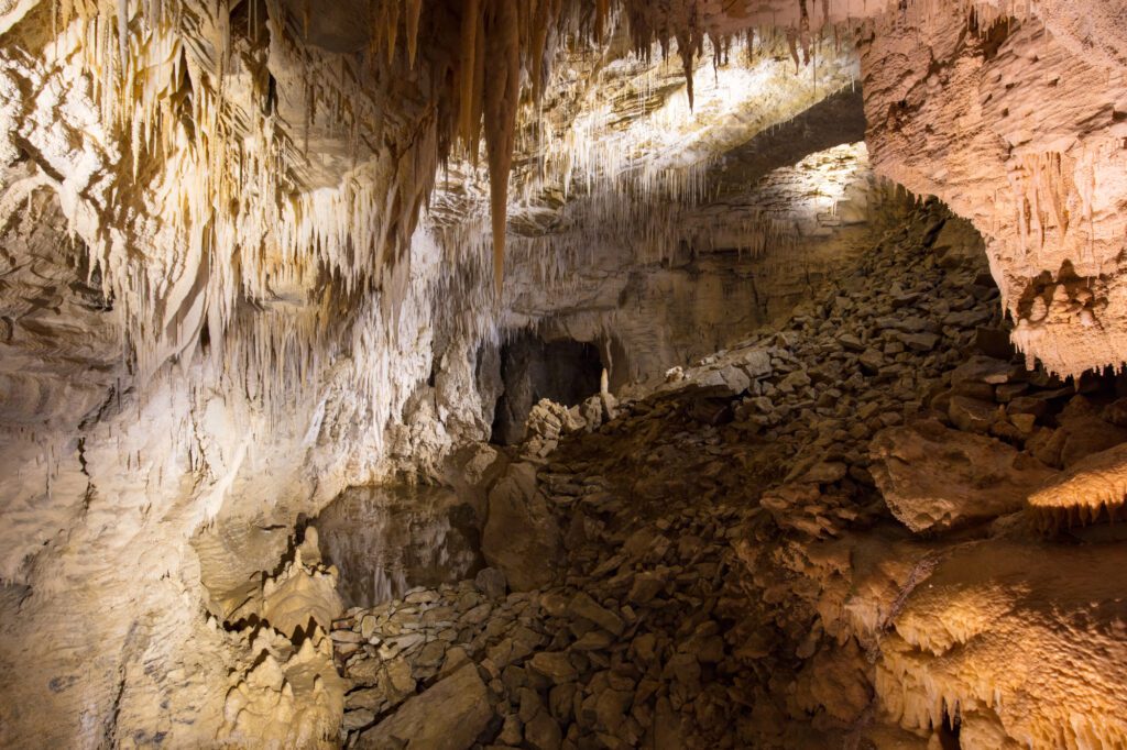 King Country: 11 Abenteuer abseits der Waitomo Caves 36 Waitomo Ruakuri Cave