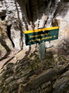 King Country Ruakuri Bush Walk