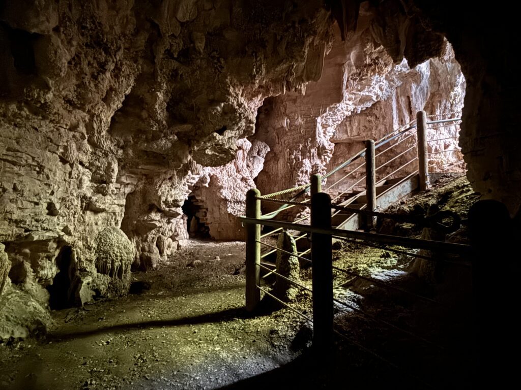 King Country Ruakuri Bush Walk