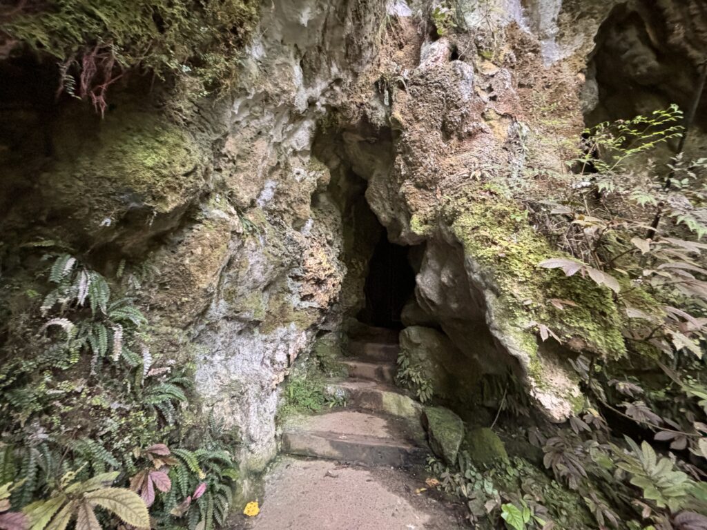 King Country: 11 Abenteuer abseits der Waitomo Caves 37 King Country Waitomo Aranui Cave