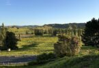 King Country Waitomo