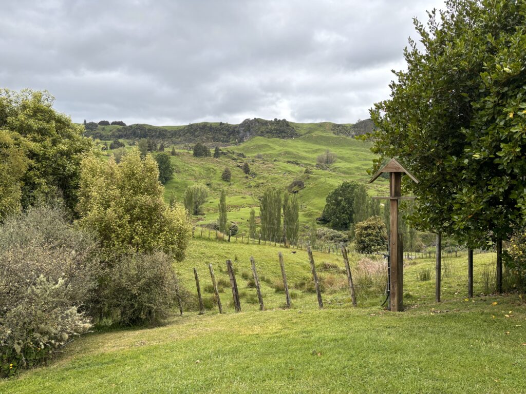 King Country: 11 Abenteuer abseits der Waitomo Caves 52 King Country Neuseeland Nordinsel