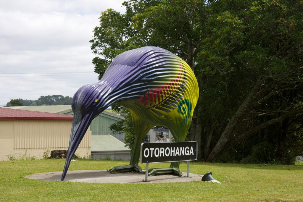 King Country: 11 Abenteuer abseits der Waitomo Caves 42 King Country Otorohanga Kiwi