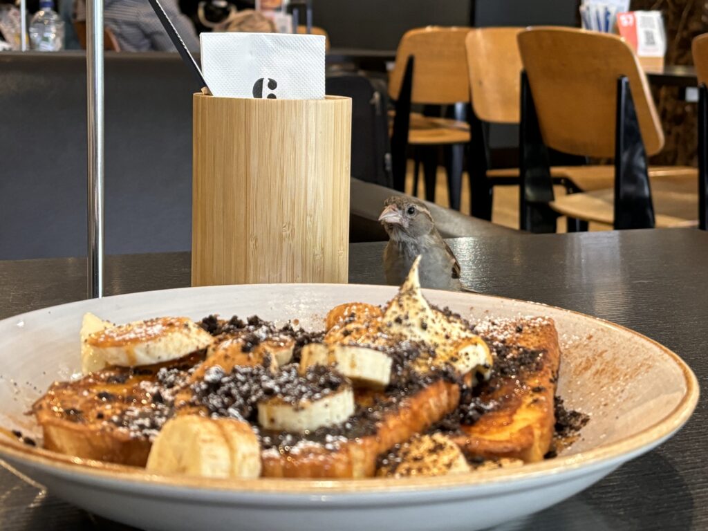 Essen gehen in Neuseeland: Restauranttipps & Spartipps für Familien 33 Essen gehen in Neuseeland