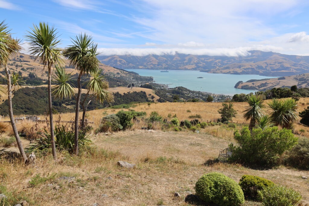 4 Wochen Neuseeland Reiseroute