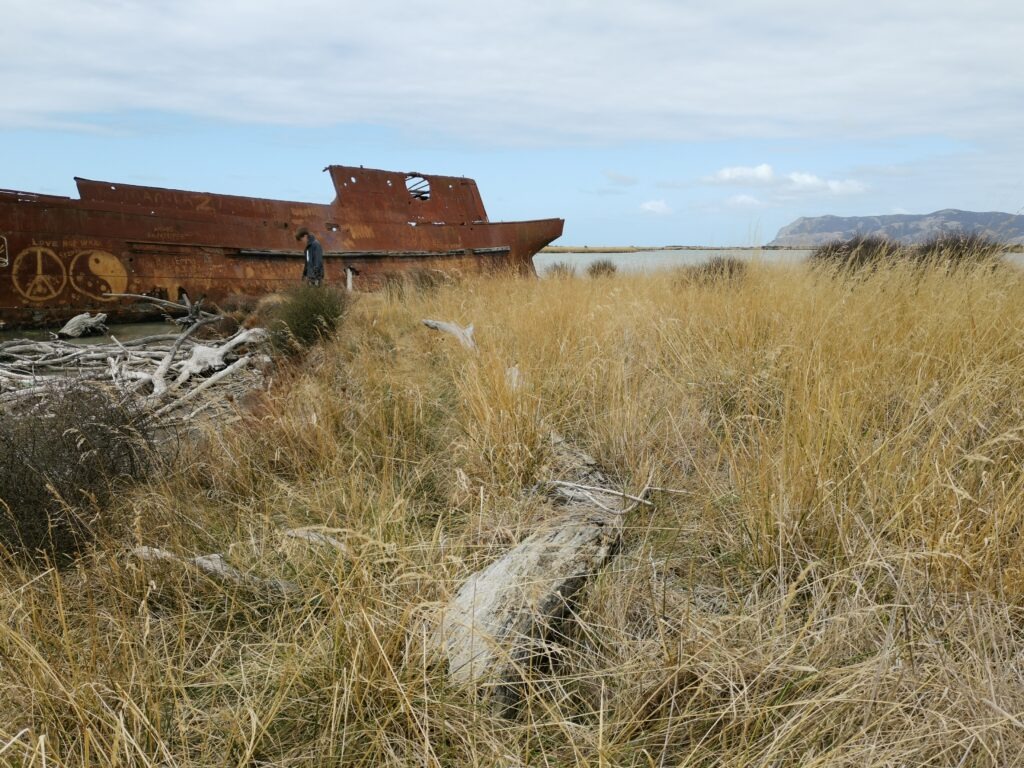 4 Wochen Neuseeland Reiseroute