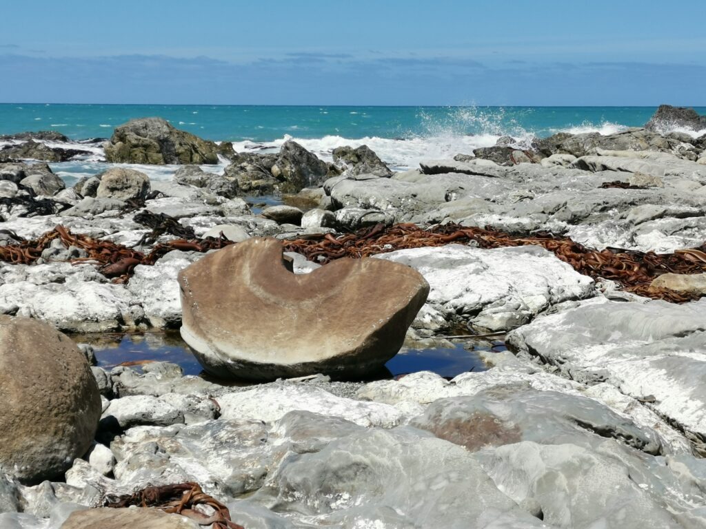 4 Wochen Neuseeland Reiseroute