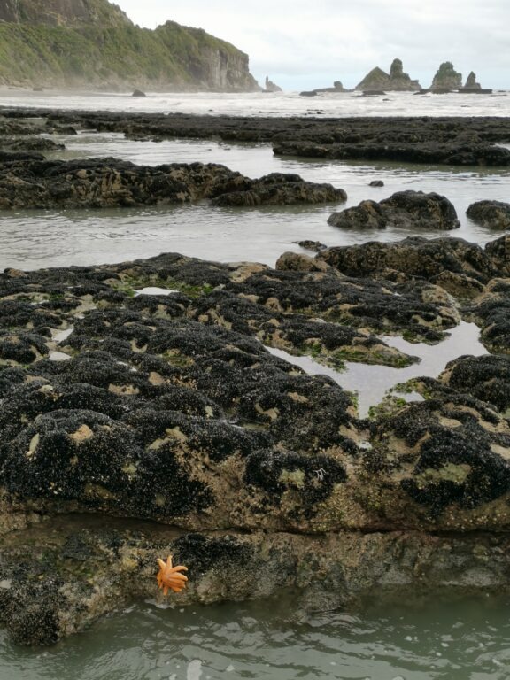 4 Wochen Neuseeland Reiseroute