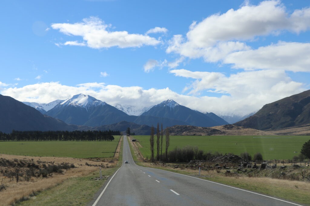 Arthur's Pass Springfield