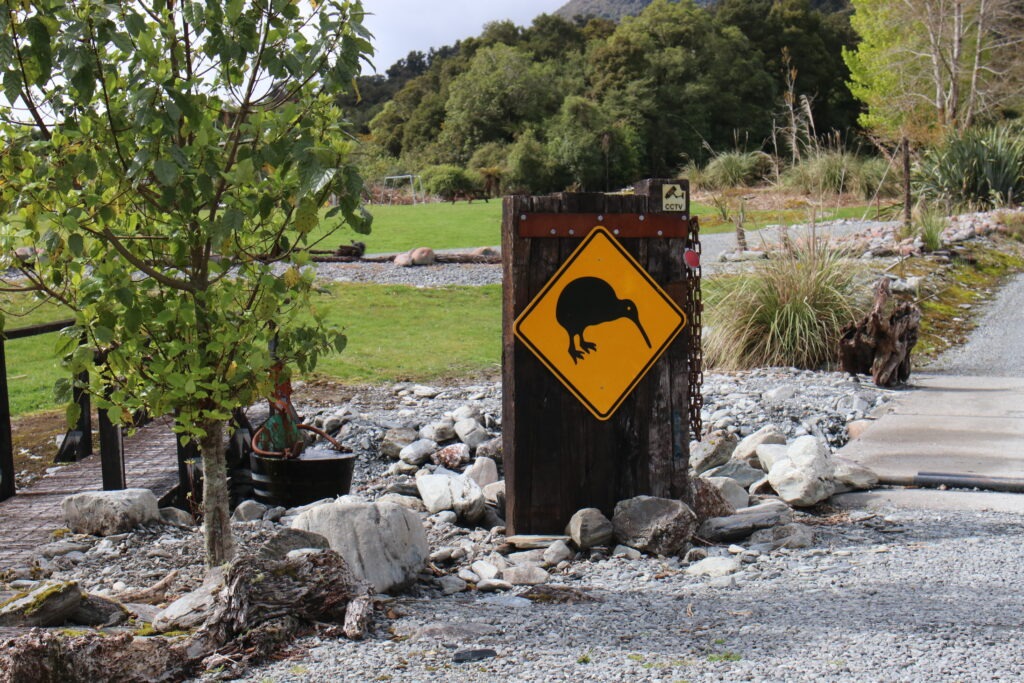 Arthur's Pass Jacksons Retreat