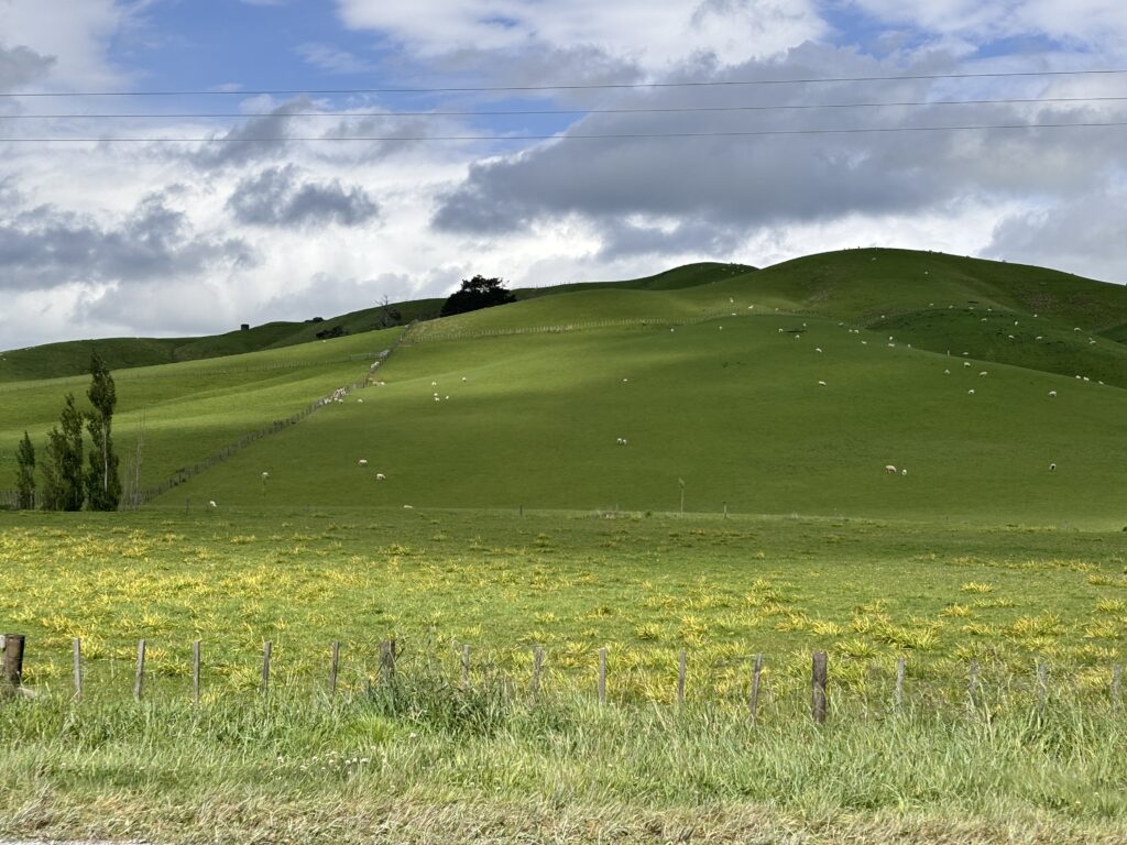 Hawke's Bay Neuseeland