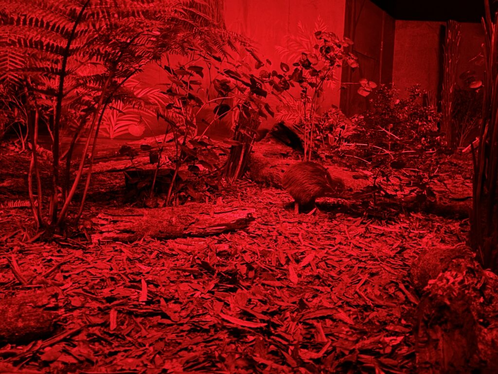 National Aquarium Napier