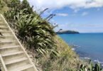 Escarpment Track bei Wellington Neuseeland