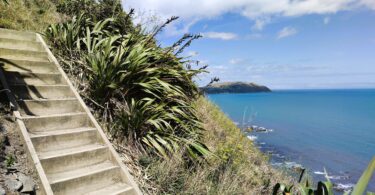 Escarpment Track bei Wellington Neuseeland