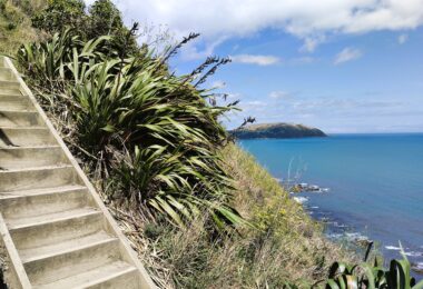 Escarpment Track bei Wellington Neuseeland