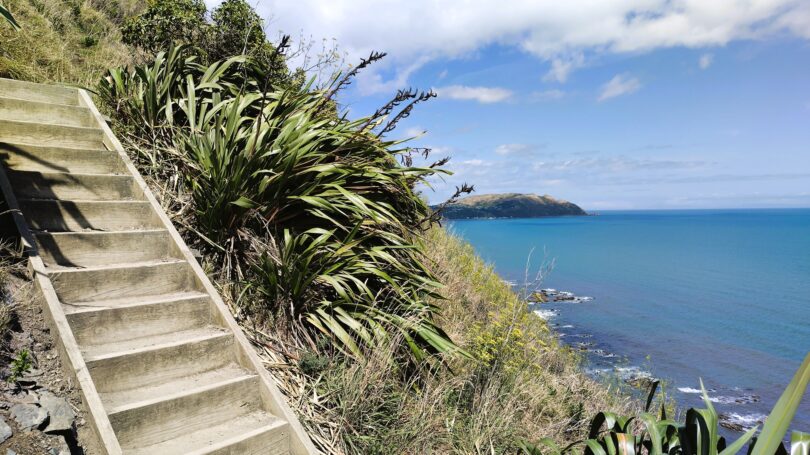 Escarpment Track bei Wellington Neuseeland