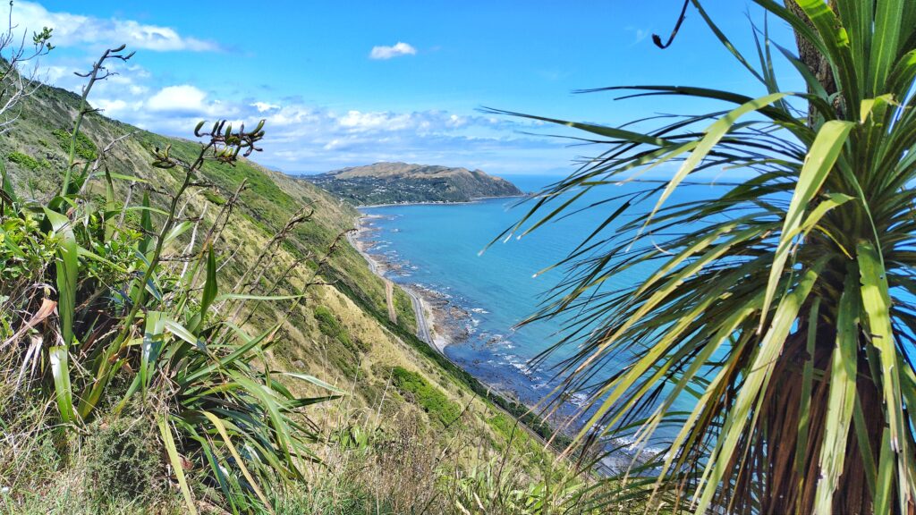 Escarpment Track bei Wellington Neuseeland