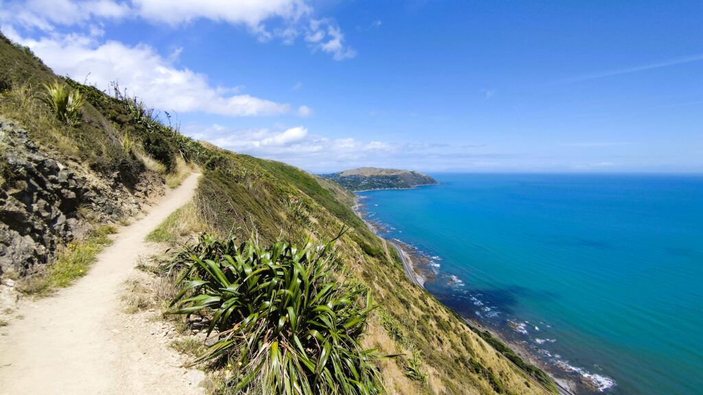 Escarpment Track bei Wellington Neuseeland