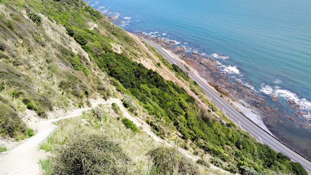 Escarpment Track bei Wellington Neuseeland
