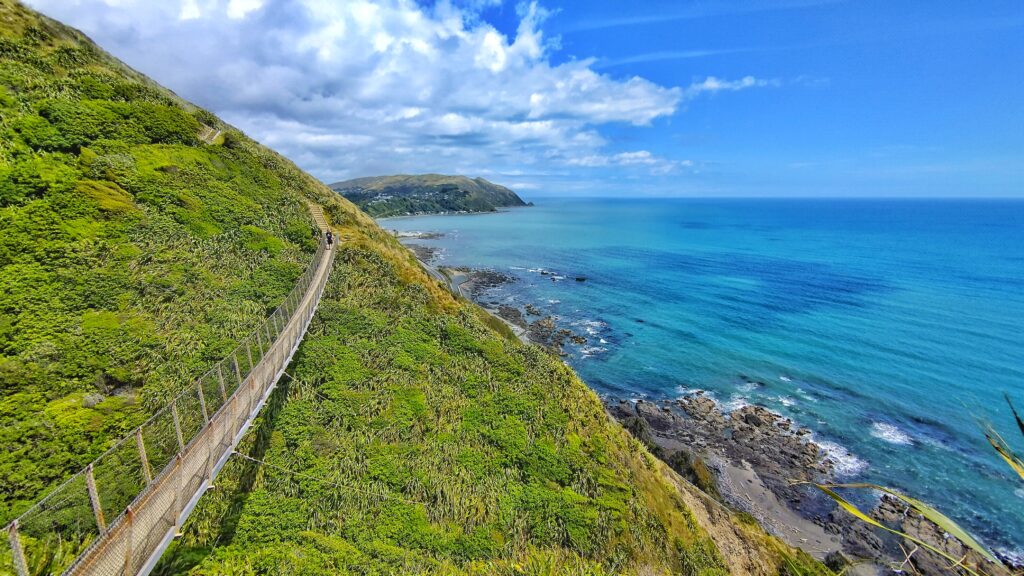 Escarpment Track bei Wellington Neuseeland