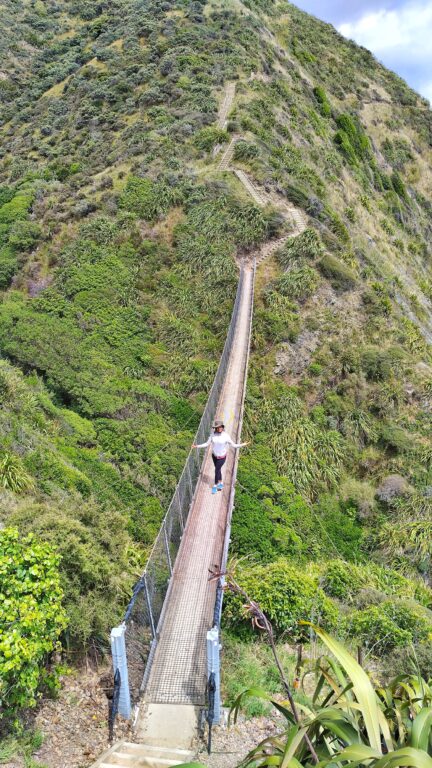 Escarpment Track bei Wellington Neuseeland