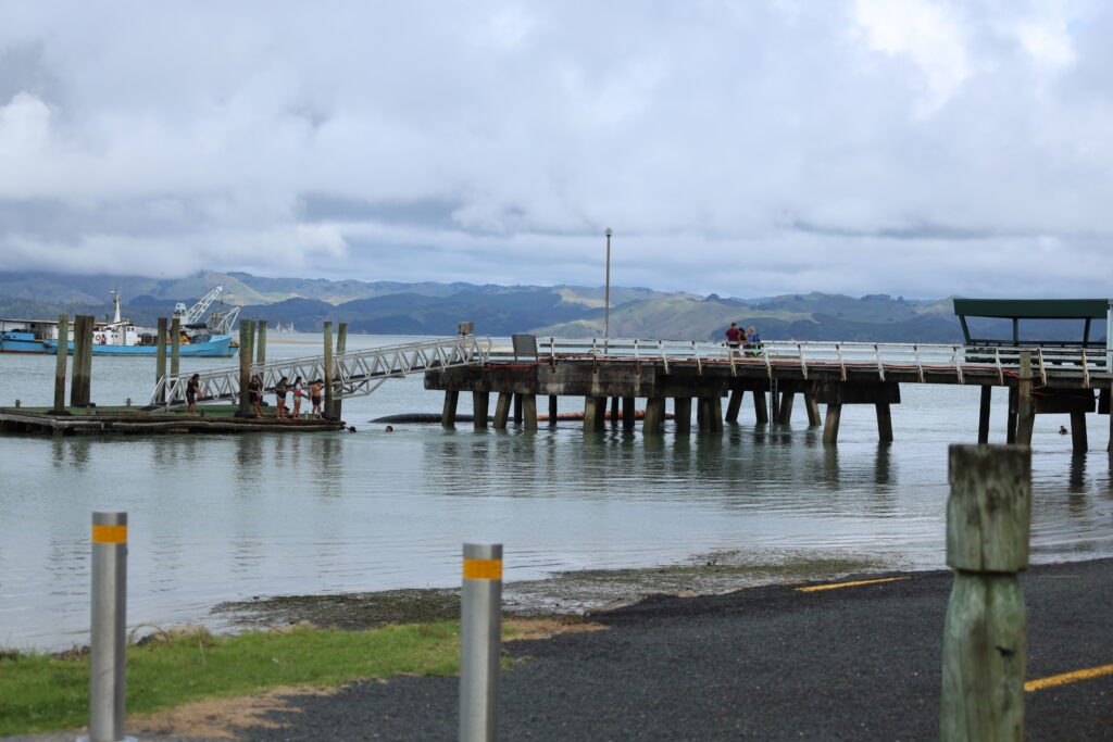 Kawhia Harbour