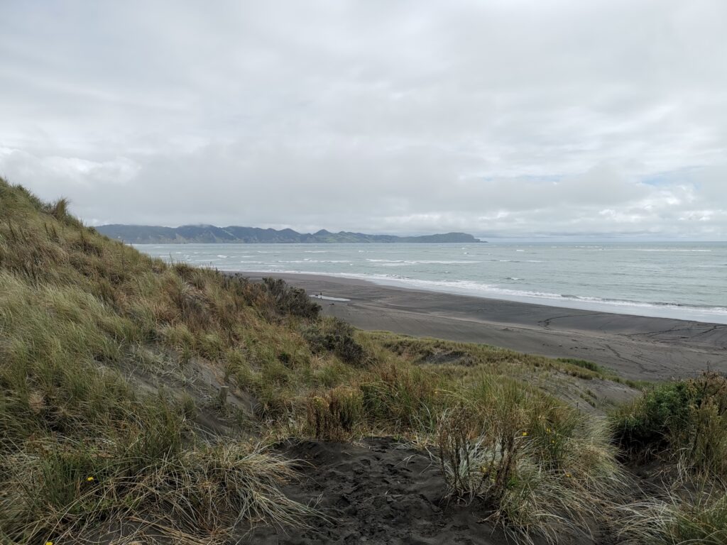 Kawhia Ocean Beach Hot Springs