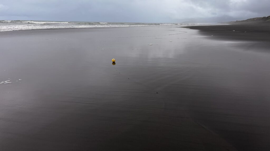 Kawhia Ocean Beach Hot Springs