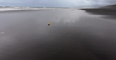 Kawhia Ocean Beach Hot Springs