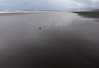 Kawhia Ocean Beach Hot Springs