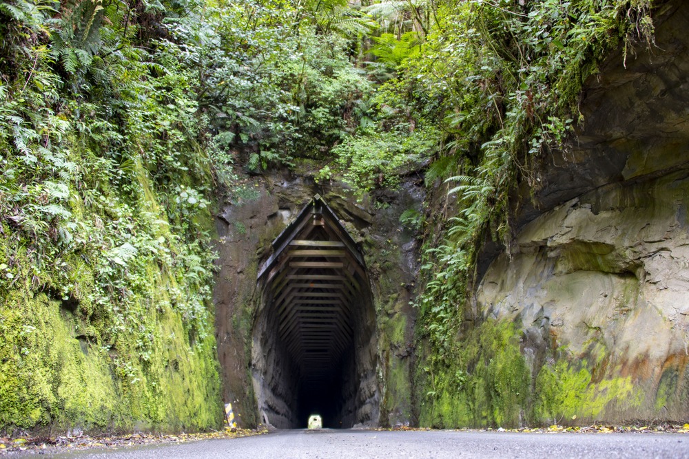 Unterwegs auf dem Forgotten World Highway in Neuseeland 10 Forgotten World Highway Neuseeland Moki Tunnel