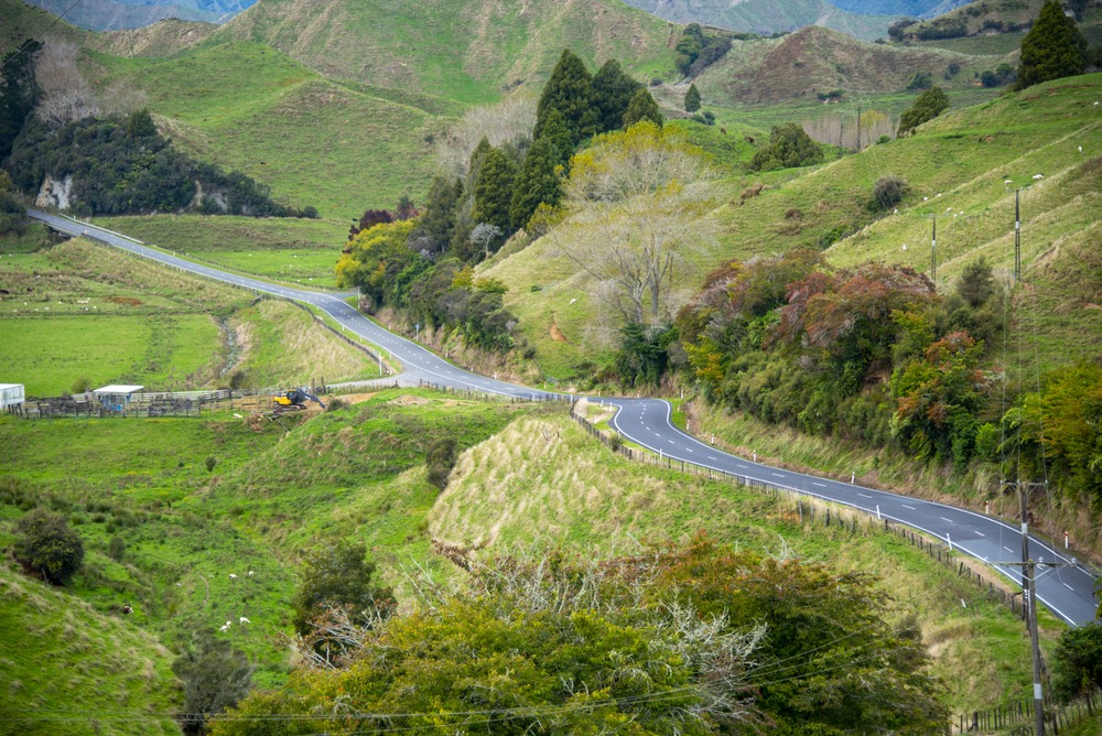 Unterwegs auf dem Forgotten World Highway in Neuseeland 6 Forgotten World Highway Neuseeland