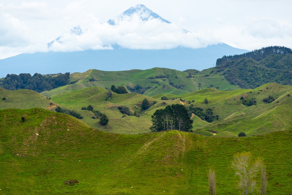 Unterwegs auf dem Forgotten World Highway in Neuseeland 17 Forgotten World Highway Neuseeland Taranaki